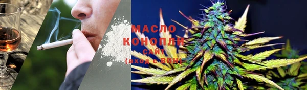 молекула духа Кулебаки