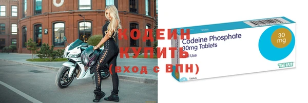 молекула духа Кулебаки