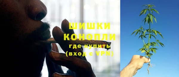 молекула духа Кулебаки