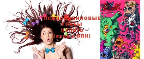 молекула духа Кулебаки