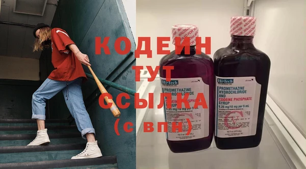 молекула духа Кулебаки